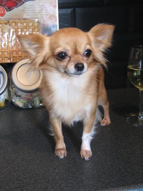 SusanJFaulds's profile picture. A new day @ midnight