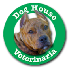 Avda. Giannattasio Km. 19.500
Tel: (598) 2682 3451
doghouseinternet@gmail.com