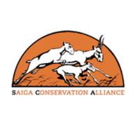 SCA (@saigaca) 's Twitter Profile Photo SCA (@saigaca) 's Twitter Profile Photo