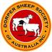 dorpereo@abri.une.edu.au (@dorpersheepaus) Twitter profile photo
