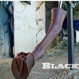 Blacksmith Buddy created by Wesley Champagne #horse #shoeing #horseshoe# #farrier #blacksmith #recyclable #veterinary #Training
