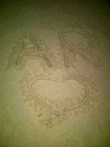 just follow me and have fun ;;*