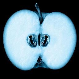 nileboooy's profile picture. 