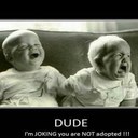 Nelson Lowe - @NelsonNigguh - Twitter