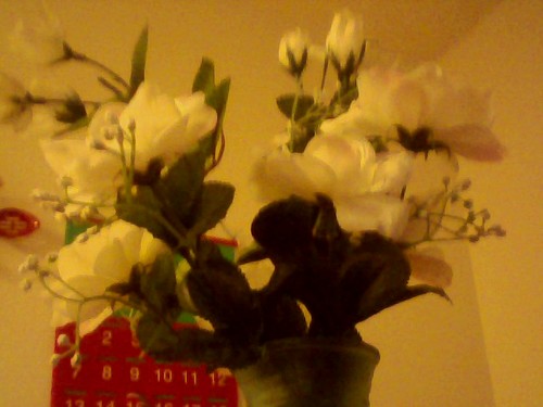 OfficialNiya858's profile picture. Model,Gymnast, Funny girl/fun girl:-) :-)