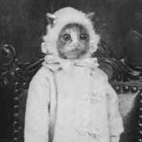 Holly Burrows (@hollytburrows) 's Twitter Profile Photo Holly Burrows (@hollytburrows) 's Twitter Profile Photo