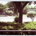 Asher Henry - @asher_henry - Twitter