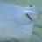 Mialjo326's profile image