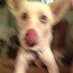 Zack (@z_k_j) Twitter profile photo