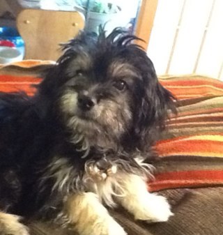 CONWID's profile picture. 