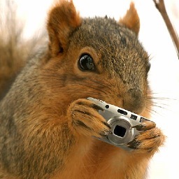 Hey Gryphons, Gossip Squirrel here, your one and only source into the scandalous lives of U of G's elites. You know you're nuts about me. 
XOXO Gossip Squirrel