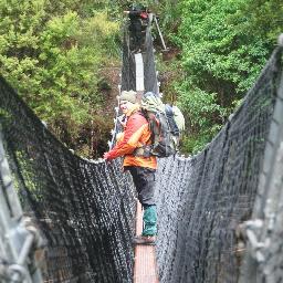 WildexInfo's profile picture. 