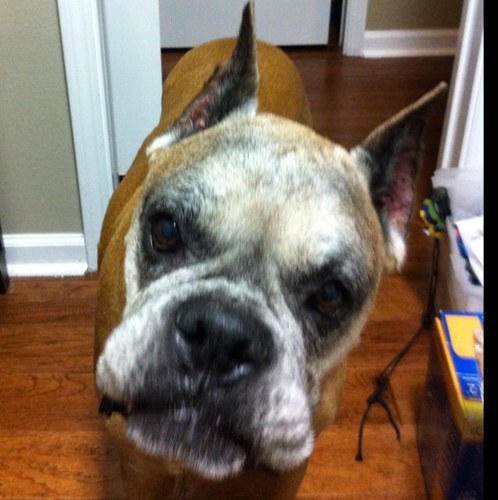 Ablank2011's profile picture. 