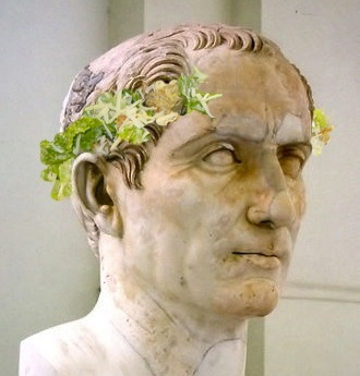 ET TU, CROUTON? Caesar Salads are graded on a 6 point scale, 3 croutons being the highest and 3 anchovies being the lowest... BRUTUS.SUCKS.