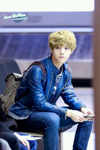 ผมชื่อลู่ฮาน