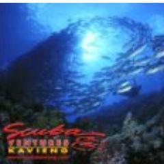 Big to small, wrecks, caves and walls we dive them all. Focused on your best experiences - above and below the waterline !