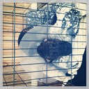 Joshua Paul Smith - @Chef_Smith_ - Twitter