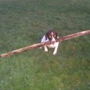 Janet Harland - @JanHarland - Twitter