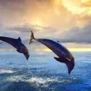 Joy Bates - @joybates42 - Twitter