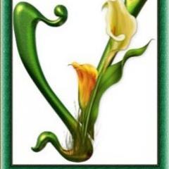 vasiullah786's profile picture. 