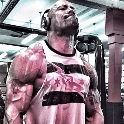 StillAFan3's profile picture. Yes! Yes! Yes! Follow me for wrestling updates, thoughts and discussion. will follow back.