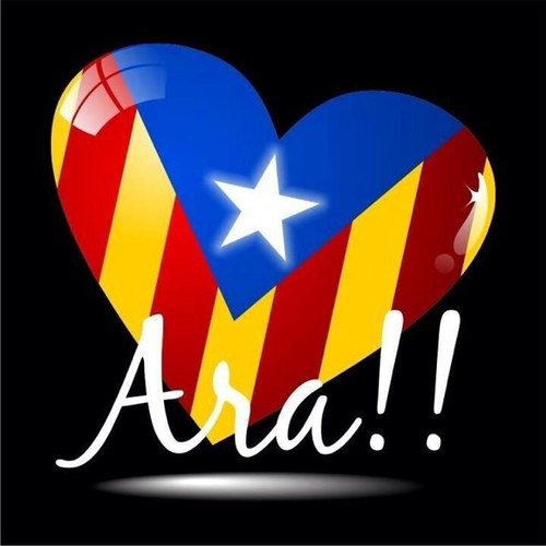 josepmorell's profile picture. 