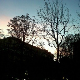 vittoriapajno's profile picture. controllo le uova di struzzo