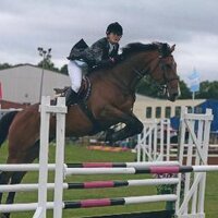 Clements Equine (@clementsequine) 's Twitter Profile