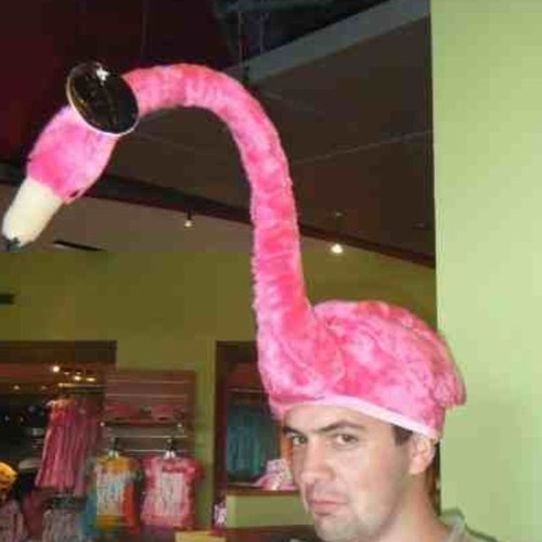 Cocksy678's profile picture. 