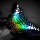 Gio - @GiovanniDavid - Twitter