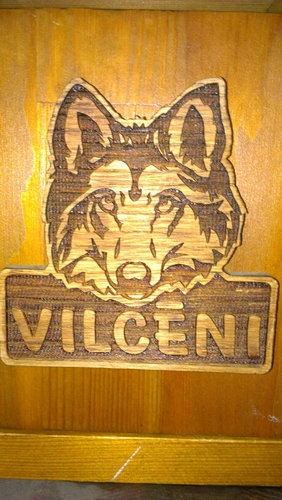 PieciVilki's profile picture. 