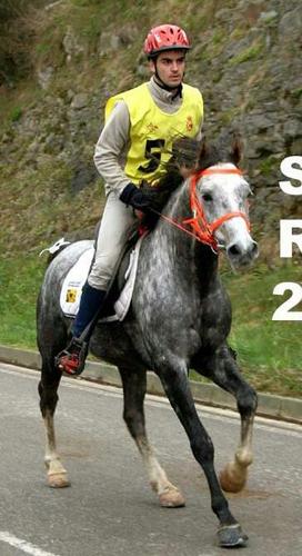 Nacido el 21 de Abril de 1994, residente en Colindres, seguidor del Real Racing Club de Santander!!! Ex-Jinete.