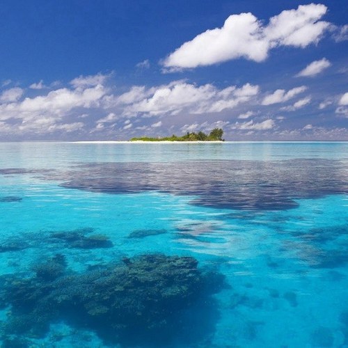 saadaaa221's profile picture. 