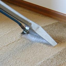 Expert carpet cleaning service in Chelmsford. Our carpet cleaners are fully trained and insured. Call us now on 01245 209601.