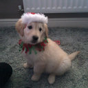 Hannah Farwell - @hannah_farwell - Twitter