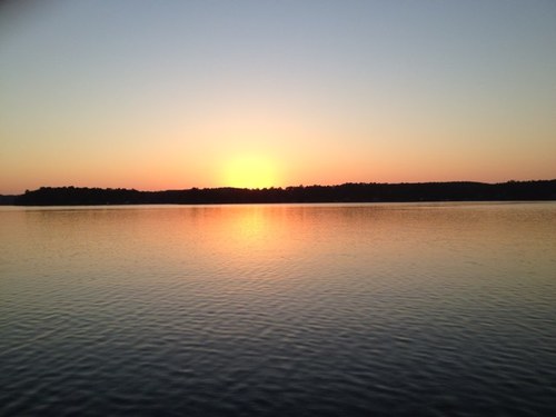 daveirby's profile picture. 