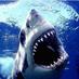 Deal Sharks (@dealsharks) Twitter profile photo