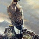 wiltpensionista@icloud.com - @BrianWarwick1 - Twitter