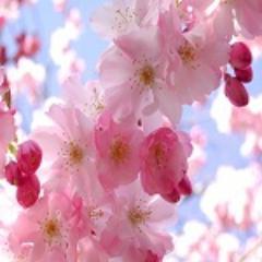 Believe that life is worth living and your belief will help create the fact.- William James
