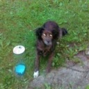 Vivian Shane - @VivianShane1 - Twitter