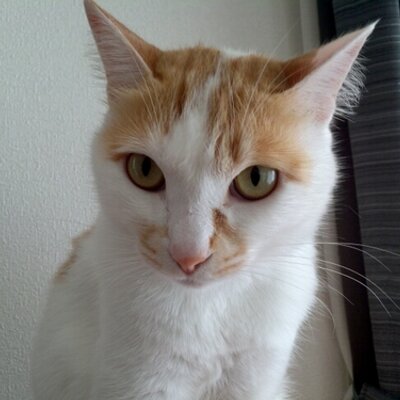 坂上