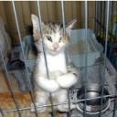 k8ZPx7SK6W's profile picture. and despite my misery I had to struggle not to laugh