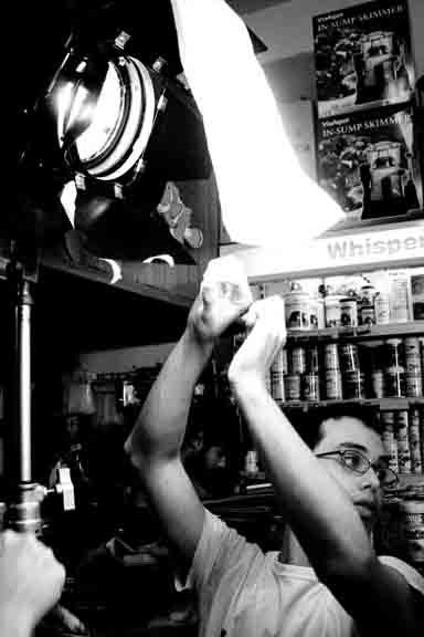 Cinematographer
Steadicam Operator