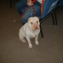 David Guy Fetzer - @DavidGuyFetzer - Twitter