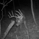 travis ernst - @travisernst - Twitter