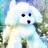 gon_gon_gon's profile image