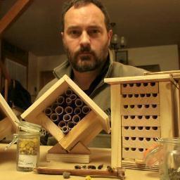 Osmiculteur par excellence, je m'intéresse à toute les activités liées à l'encouragement des #abeilles solitaires l'#écologie #nature #badfrench