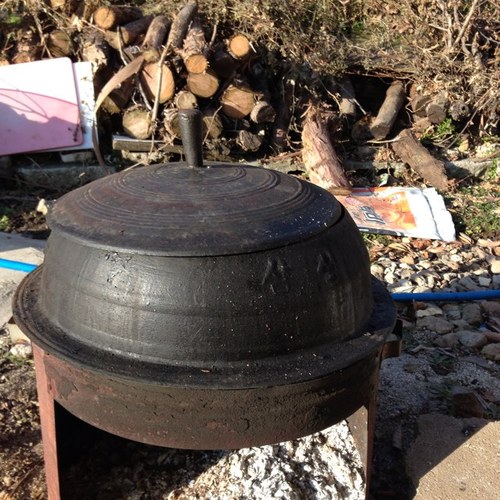 210si210si1's profile picture. 농촌사랑,개사랑