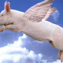 DNAProtection's profile picture. The natural genetics or DNA of the natural world is under corporate attack and scheduled for redesign and patenting for ownership rights, this must stop.