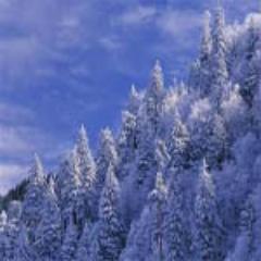 When you go into the space of nothingness, everything becomes known.-Buddha